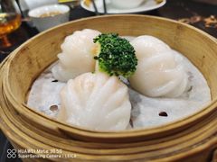 金城虾饺皇-金城大酒店-中餐厅(汾江中路店)