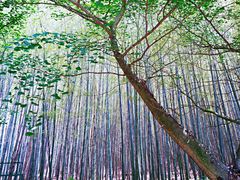 -九龙潭景区