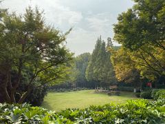 -上海市保健医疗中心