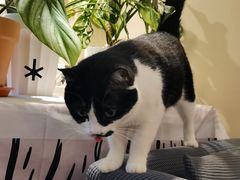 -路易时光(蕴川路店)