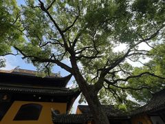 -西园戒幢律寺