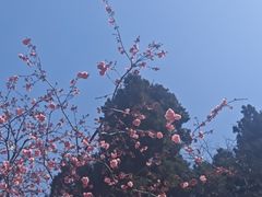 -昆明动物园