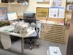 -瑞派宠物医院·24h·骨外科·皮肤科·全科宠物医疗转诊中心(沈阳浑南院)
