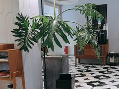 -一尺花园(安和花园店)