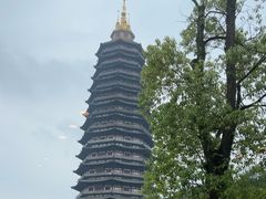 -听松楼·花园酒店·自助餐厅(红梅公园店)