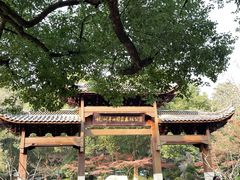 -杭州半山国家森林公园