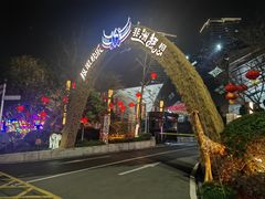 -重庆国际马戏城