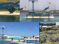 -秦皇岛乐岛海洋王国