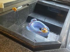 -春晖园度假酒店温泉