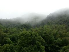 -宁波五龙潭景区