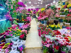 -双季花艺园艺市场(浦东店)