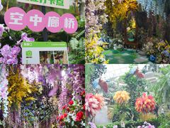 -正佳雨林生态植物园