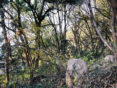 -汤山公园