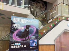 -联合动物医院(光谷诊疗中心)