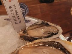 -斯普汇生蚝牛排馆(中骏世界城店)