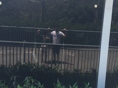 -东部华侨城