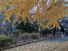 -东京国立博物馆