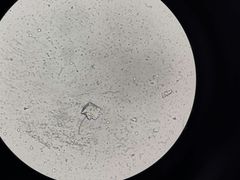 -太原东方动物医院(小店分院)