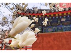-北京艺术博物馆(万寿寺)