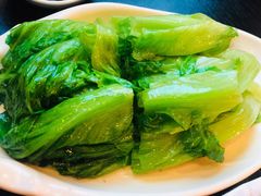 白灼生菜-添运来(茶园奥园广场店)