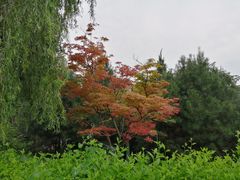-鹦鹉寺公园