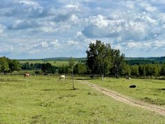 -塞罕坝国家级自然保护区