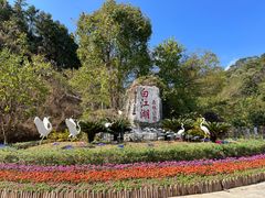 -广州白江湖森林公园