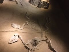 -洛阳周王城天子驾六博物馆