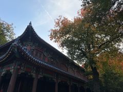 -灵谷景区