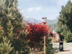 -泰山风景名胜区-虎山公园