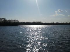 -大兴滨河森林公园