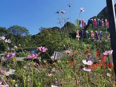 -百里峡七彩艺术小镇