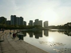 -新江湾城公园