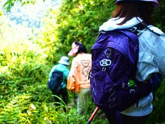 -鹿院坪生态旅游景区