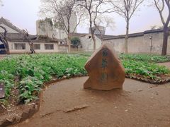 -绍兴鲁迅故里·沈园景区