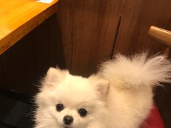 -蓉李记成都名小吃(二七万达店)