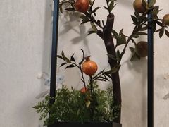 -和源祥·日照菜扛把子(万平口一店)