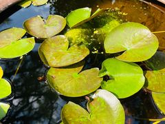 -青州市云门山风景区