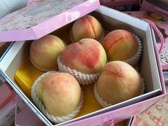 -南汇水蜜桃采摘(大团店)