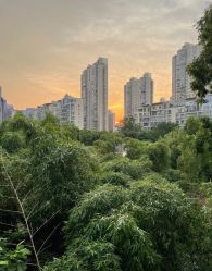 -馨月汇·一悦馨香月子中心(前滩店)