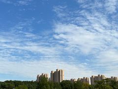 -菊园百果园