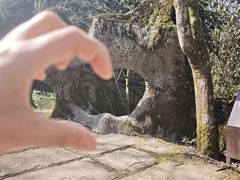 -山王坪喀斯特国家生态公园