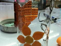 -瓦匠工社·马赛克·积木拼图·亲子手工DIY