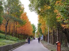 -上海长兴岛郊野公园