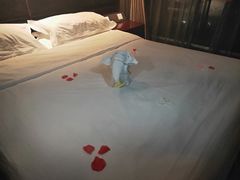 -大同王府至尊酒店