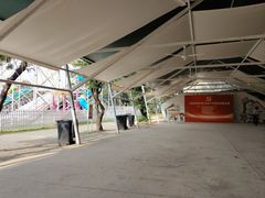 -长洲岛