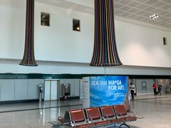 -米兰马尔彭萨国际机场