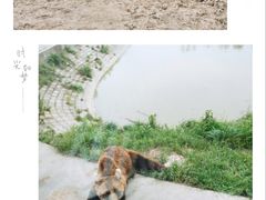 -上海野生动物园