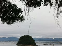 -北岐滩涂