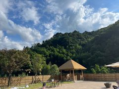 -江西阳明山国家森林公园